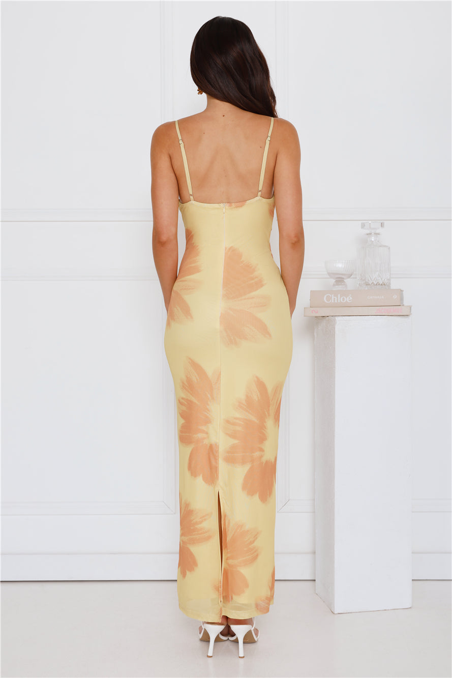 Amber Splendour Mesh Maxi Dress Yellow